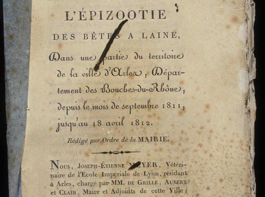 Rapport sanitaire, 1812